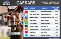 Caesars Handicap fair odds: Play this price in turf debut