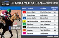 Black-Eyed Susan fair odds: Best bet of weekend is here