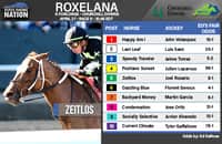 Roxelana fair odds: See value opportunity on opening night