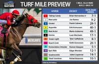 Fair odds: Looking to beat Turf Mile favorite at Ellis Park