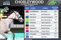 Fair odds: Recent scratch adds value to Chorleywood long shot