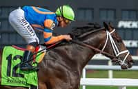 Fastest maidens: Godolphin, Harty team up with Turfway duo