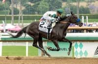 Santa Anita Entries & Results Santa Anita Entries & Results