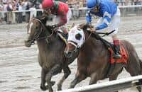 Running With Super Saturday!