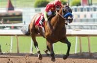 After Aqueduct's Toboggan, American Anthem will try the turf