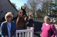 Visiting California Chrome and American Pharoah