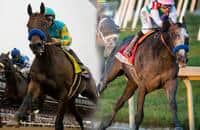 Arrogate better than American Pharoah? It's Too Soon to Say