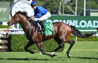 Australia: Anamoe, Dubai Honour clash at The Championships