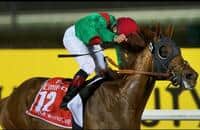 2014 Dubai Sheema Classic G1 - Race