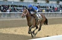Mor Spirit Ships East for Kentucky Jockey Club