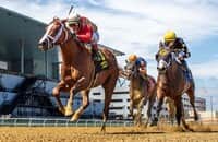 With Belmont Stakes in mind, Antiquarian wins Peter Pan
