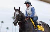 Arrogate to face one stablemate in San Diego Handicap 2017