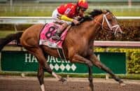 Among Into Mischief's best, Audible retired to WinStar Farm