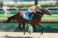 Aurelius Maximus could be the now horse in the Grade 1 Clark