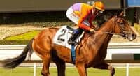 Beholder Sizzles in Santa Anita Sprint
