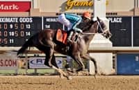 6-for-6: Rivelli enjoys the ride with undefeated filly