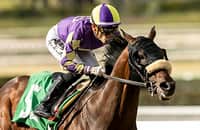 Manocchio: How to bet for value in the 2025 Belmont Stakes 