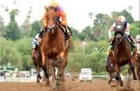 Beholder dominates in her return to the races