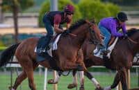 Beholder Gallops in Advance of G1 Zenyatta (VIDEO)
