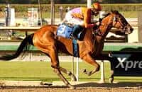 Beholder Wires Older in Zenyatta