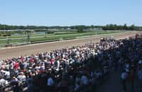 How to bet 9 races on Belmont Park's Friday card 