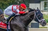 Saturday works: Breeders' Cup runner-up Bentornato returns