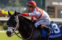 2024 Breeders' Cup Turf G1 - Race