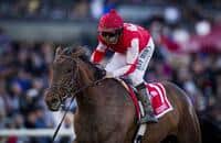 Birdatthewire Reunites With Smith in Santa Maria