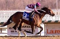 Bold Curlin Captures Native Dancer