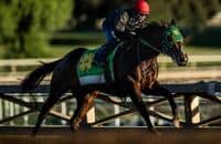2018 Kentucky Derby: Bolt d'Oro pedigree profile