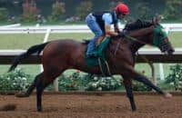 Ruis expects big things from Del Mar Futurity contender Bolt d’Oro