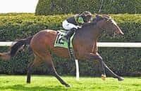 Royal Ascot 2018: Saturday race results, payouts and replays