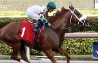 Breaking Lucky delivers 'big performance,' stakes return likely