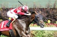 Burnham Square eyes Arlington Million after Chorleywood win