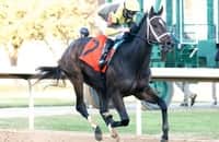 Betting the 2021 Kentucky Derby Future Wager Pool 2