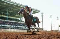 Friday opener: Chromies are part of Los Alamitos summer lore