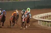 California Chrome Still on Top in World's Best Rankings