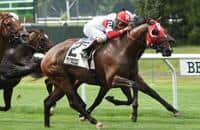 Camelot Kitten takes on six accomplished rivals in Hall of Fame