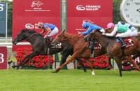 Camille Pissarro, co-owned by Brant, wins Prix du Jockey Club