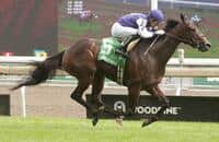 Woodbine roundup: Candy Quest, Literate win graded stakes