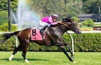 Friday works: With Middle East on horizon, Casa Creed breezes