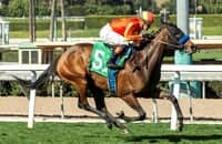 Santa Anita: Cutback looks super for Casalu in Sweet Life
