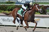 Zipse: Ce Ce is on path to another Breeders' Cup win