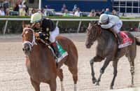 Ce Ce defends Princess Rooney title, earns Breeders' Cup berth