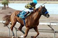 Kentucky Derby 2014 Contenders: Baffert’s Derby Push
