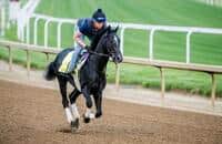 Tuesday works: Chunk of Gold fires a bullet, leads 7 on tab