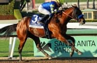 Citizen Bull wins American Pharoah, is BC-bound for Baffert