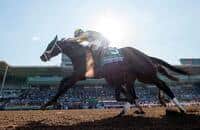 2017 Kentucky Derby: Top Five Takeaways from 2016