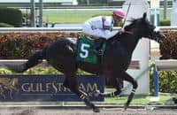 Clearly Now sets new Gulfstream track record at seven furlongs