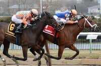 Clipthecouponannie back at favorite distance in Skipat